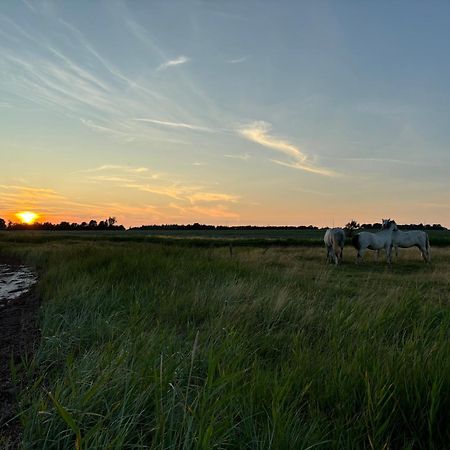 Nedlagt Gard I Naturen Med Ro Og Fred Og Samtidig Taet Pa Strand Og Fiskeri Og Indkobsmuligheder Nordborg Luaran gambar