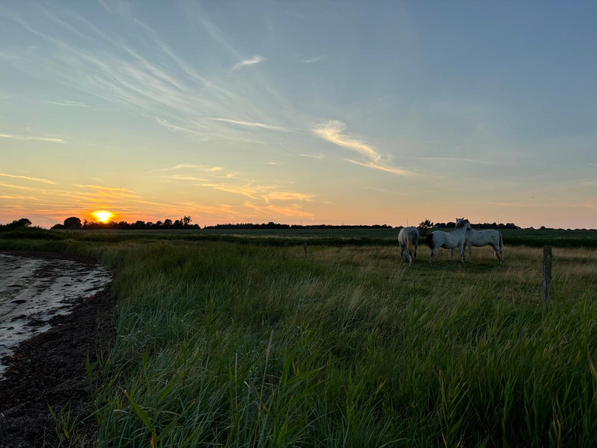 Nedlagt Gard I Naturen Med Ro Og Fred Og Samtidig Taet Pa Strand Og Fiskeri Og Indkobsmuligheder Nordborg Luaran gambar